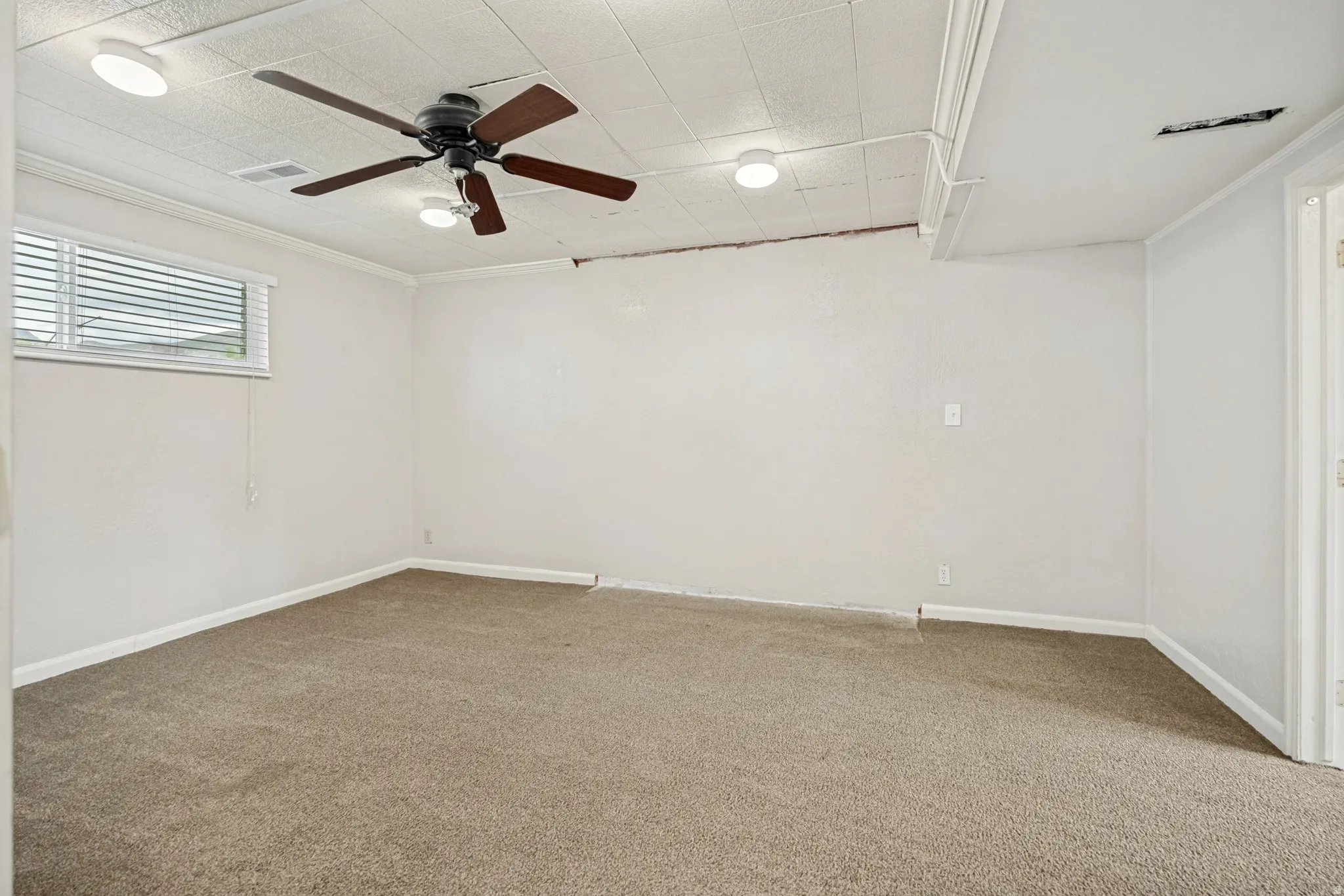 Textured carpet flooring, white painted walls, drop ceiling, ceiling fan, and recessed lighting