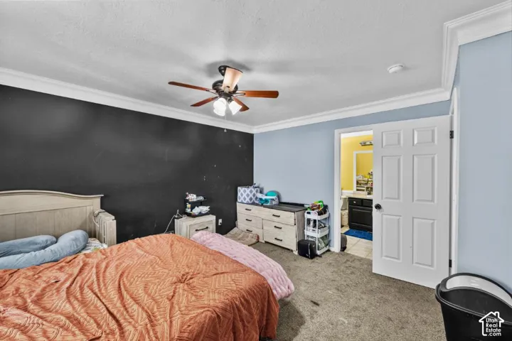 Tray ceiling with crown molding, ceiling fan, paneled interior door, light blue and dark accent walls, and carpet flooring