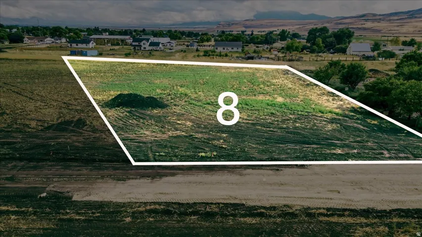 Expansive undeveloped land parcel with natural ground cover