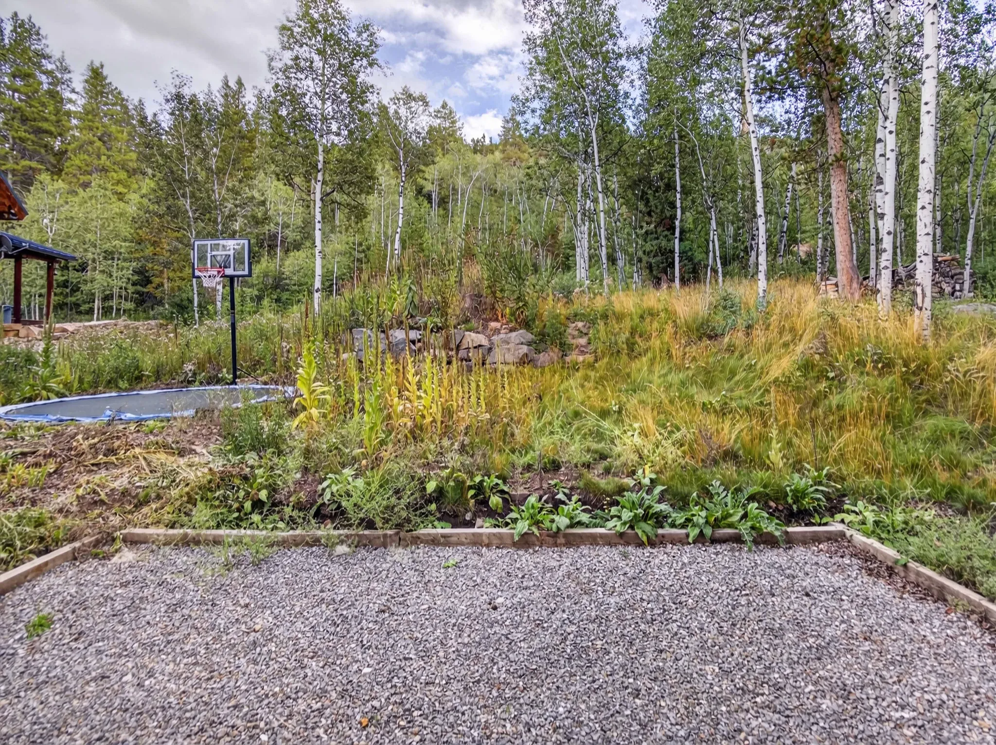 Gravel outdoor space bordered by natural wood edging