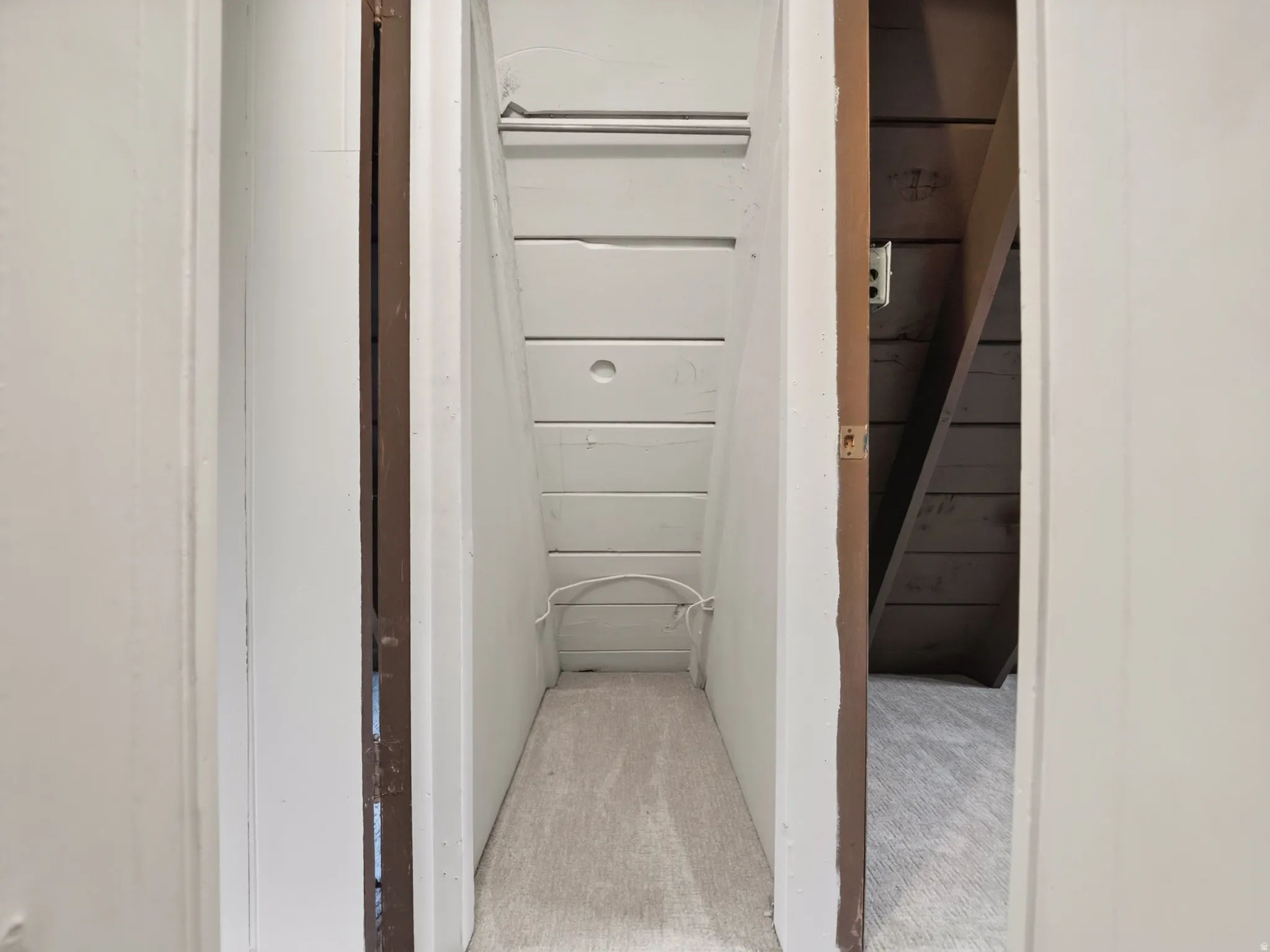 Recessed storage area with wood paneling and a carpeted floor