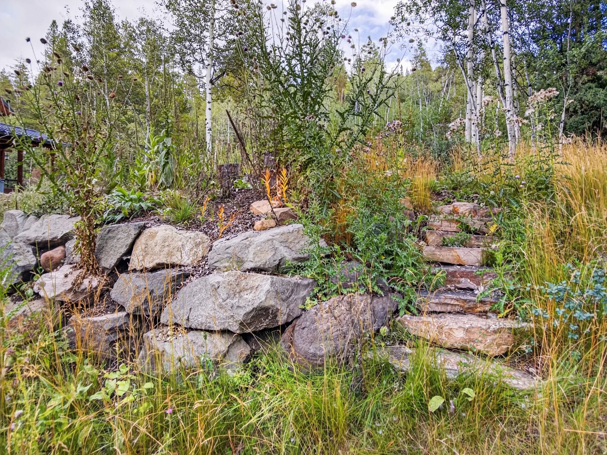 Terraced landscaping featuring natural stone retaining walls and stone steps, surrounded by mature trees and varied plantings