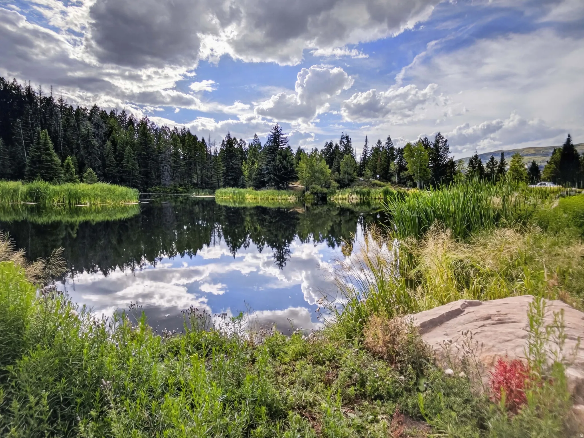 Reflective pond surrounded by lush greenery and dense coniferous trees
