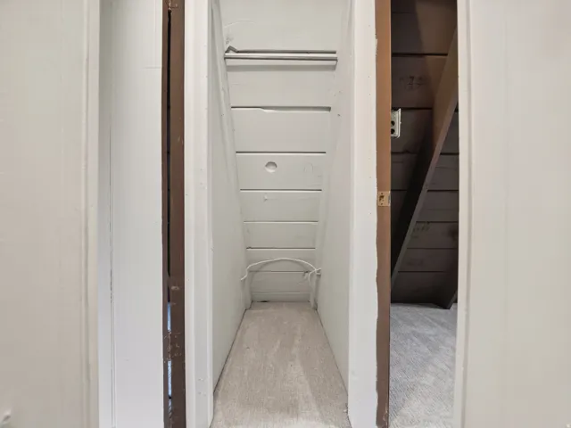 Recessed storage area with wood paneling and a carpeted floor