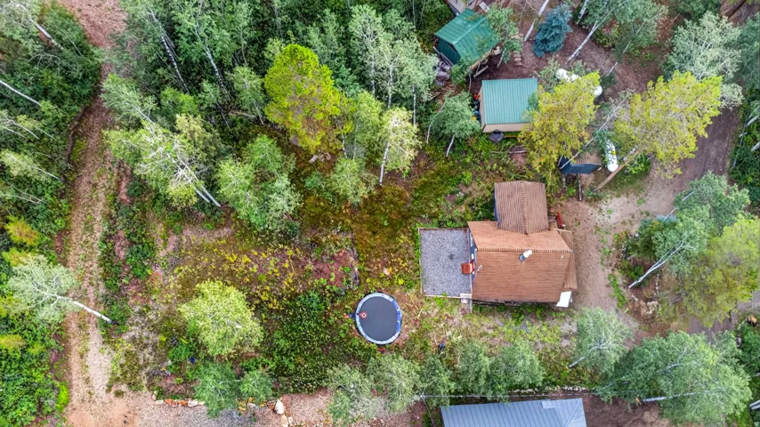 Wooded lot with a main residence featuring a brown shingle roof, accompanied by two additional outbuildings with green roofs