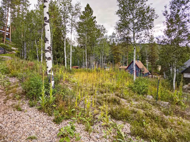 Wooded lot with mature aspen and conifer trees, featuring natural vegetation and a gravel-covered incline