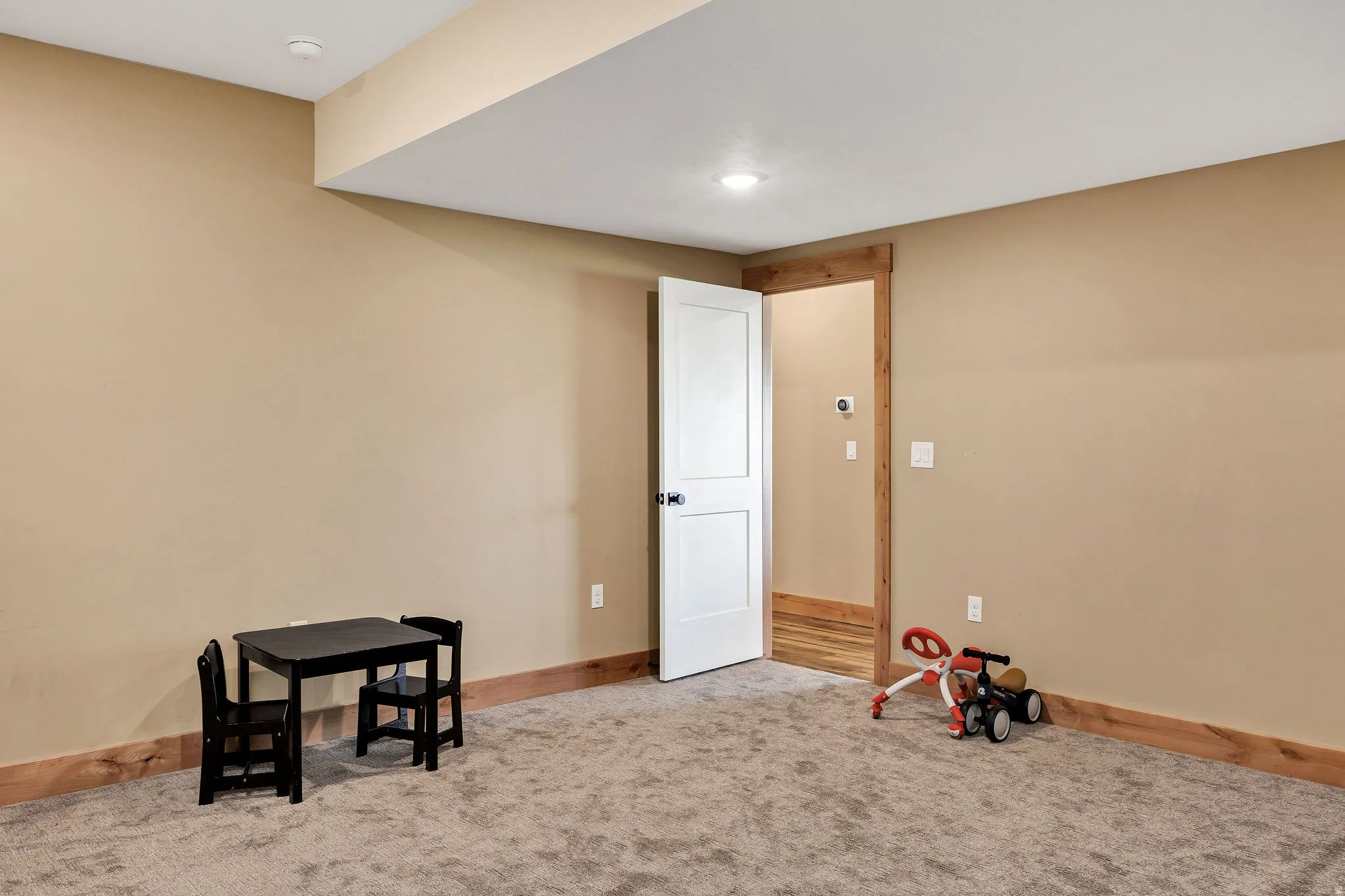 Recessed lighting, wood-finish trim, neutral-tone walls, white paneled door, and carpeted flooring