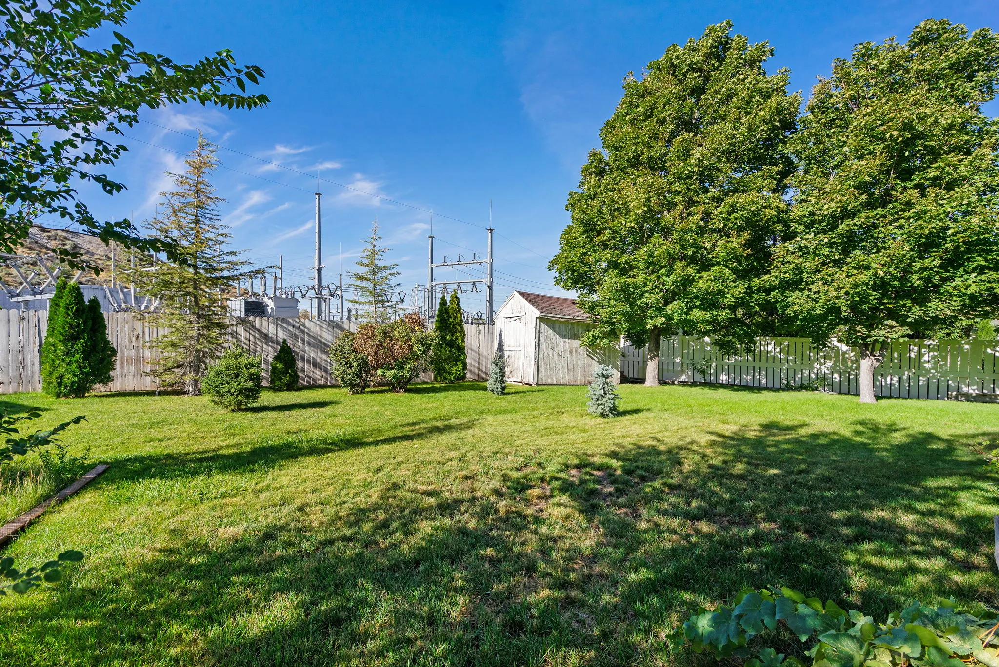 Expansive green lawn with mature trees and a white picket fence