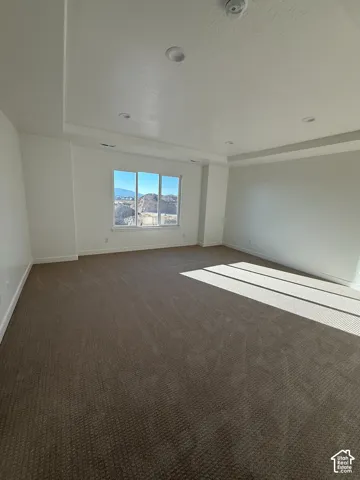 Recessed lighting, tray ceiling, wall-to-wall carpeting, and multiple windows