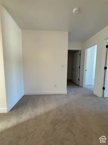 Spacious bedroom featuring neutral wall finishes, neutral-tone carpet flooring, and abundant natural light from multiple windows