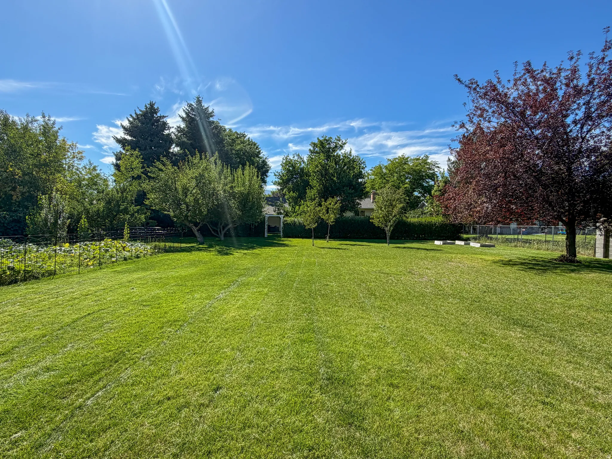 yard