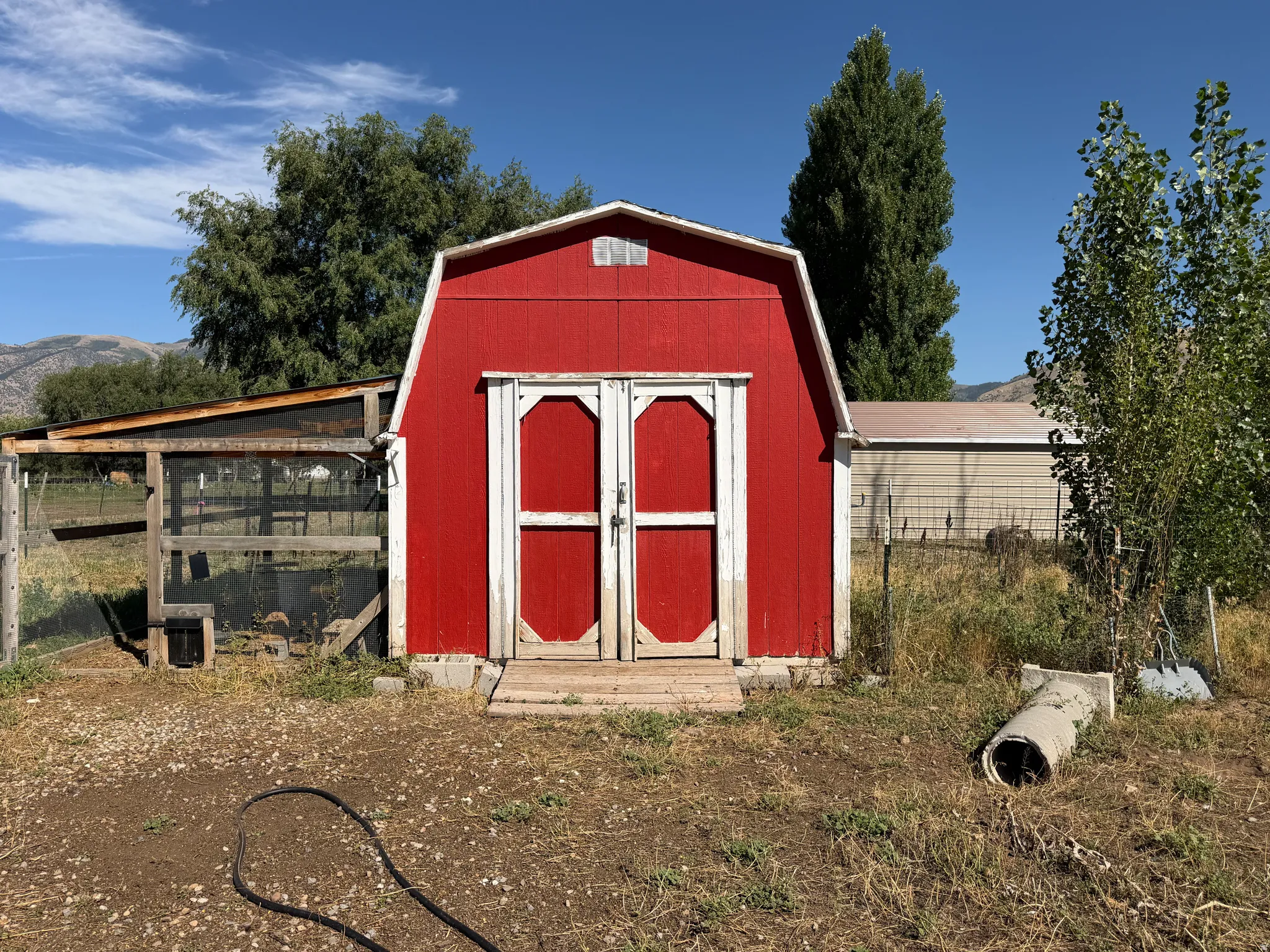 chicken coop #1