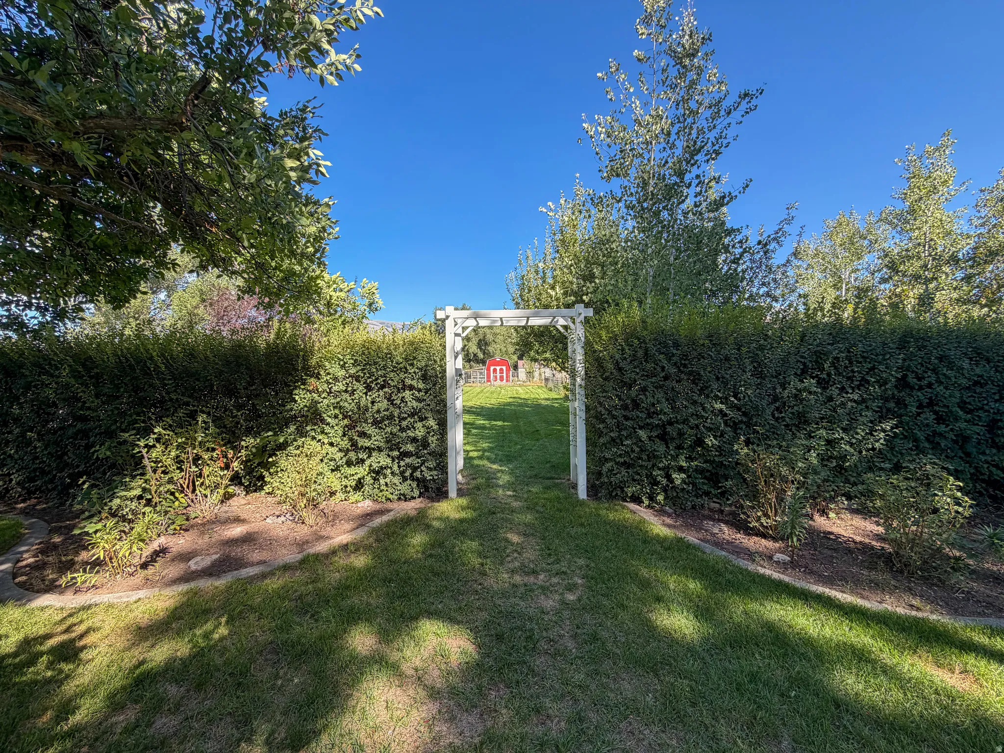 Backyard with pergola
