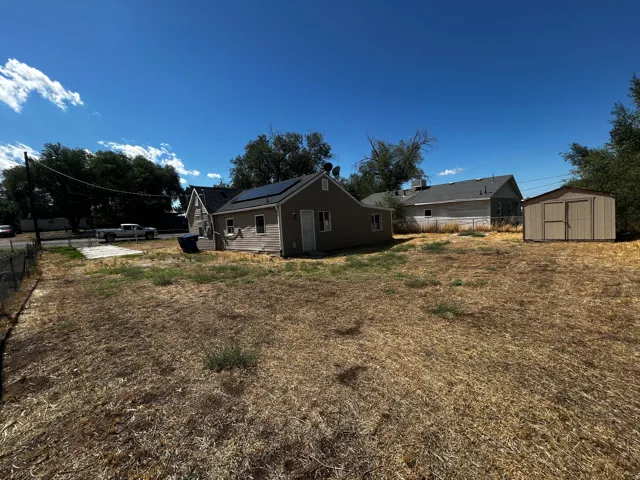 back yard