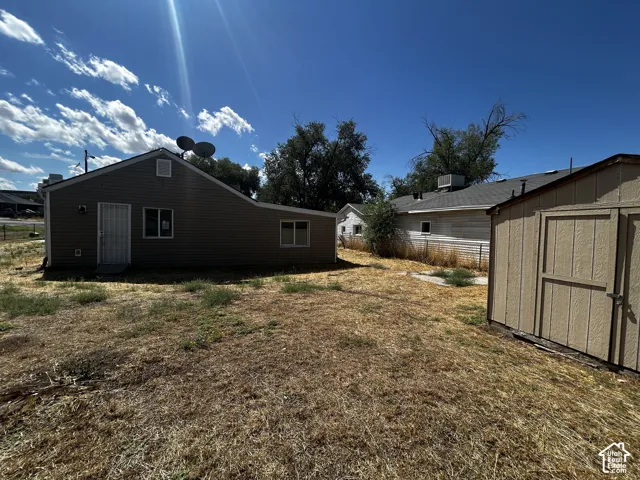 back yard