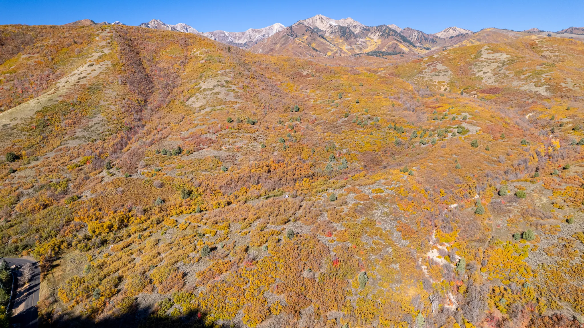 Expansive mountainous terrain featuring autumn foliage and distant snow-capped peaks