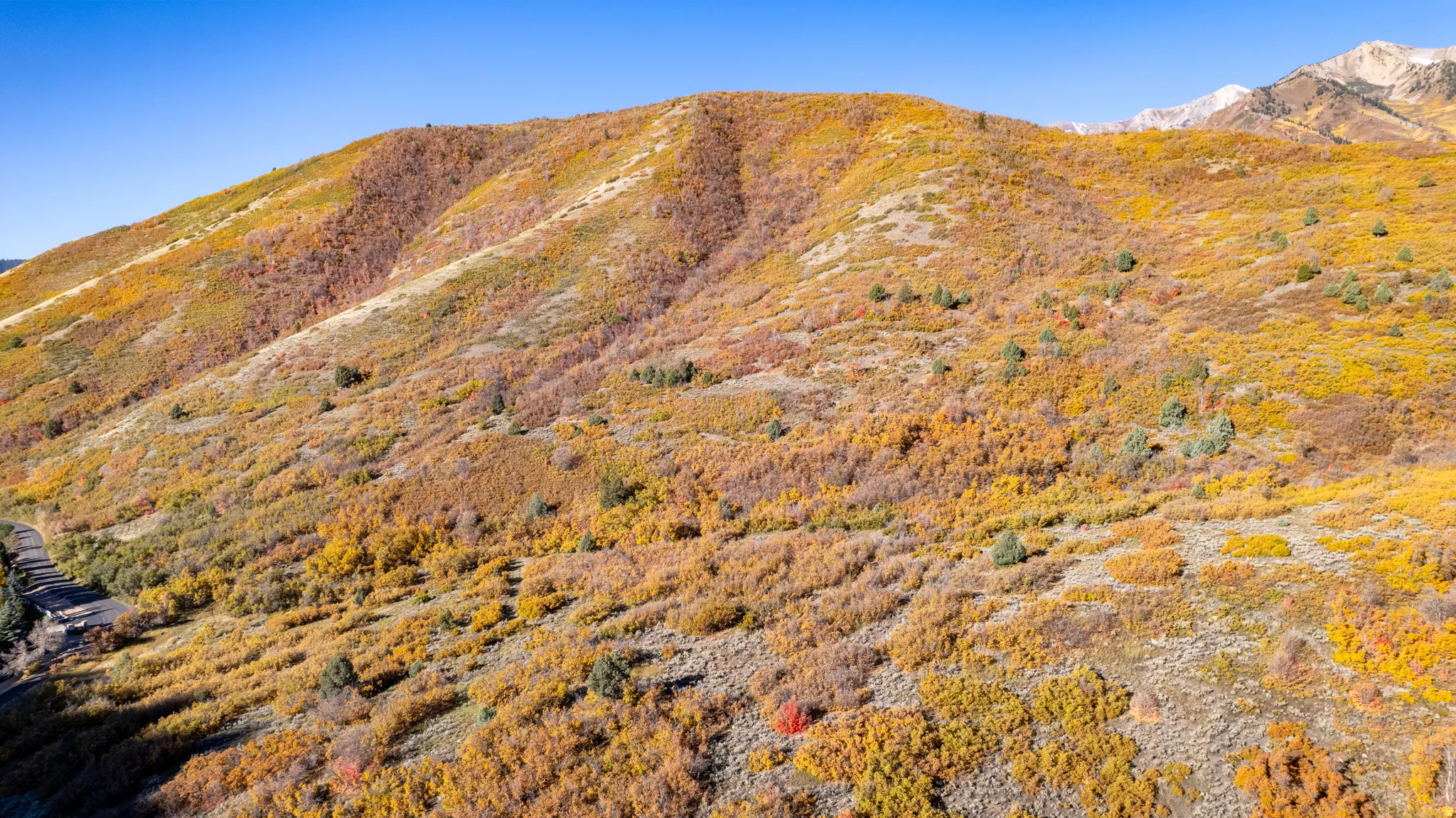 Expansive mountain terrain featuring varied autumn foliage and a clear sky