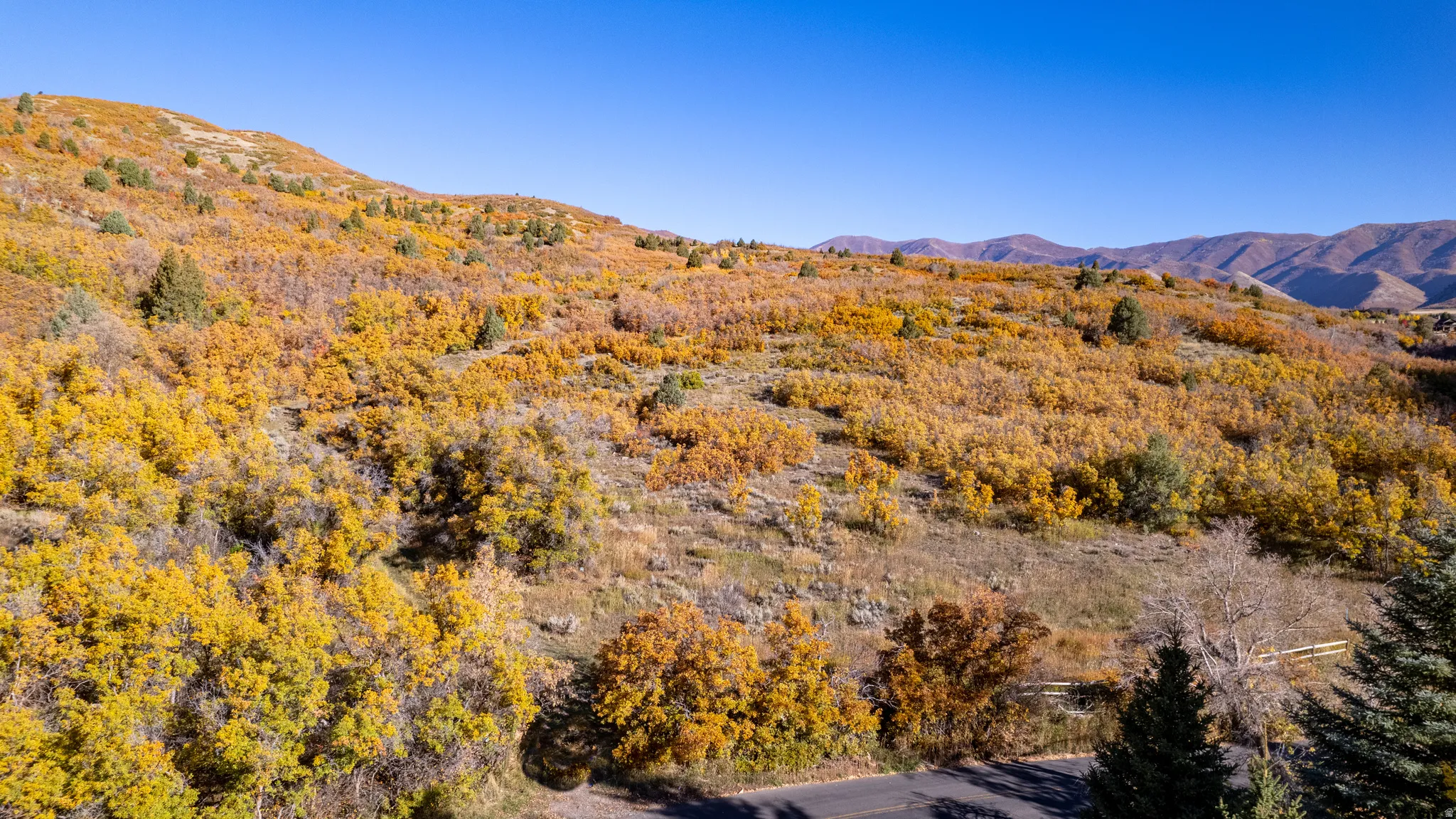 Expansive mountain landscape featuring varied foliage