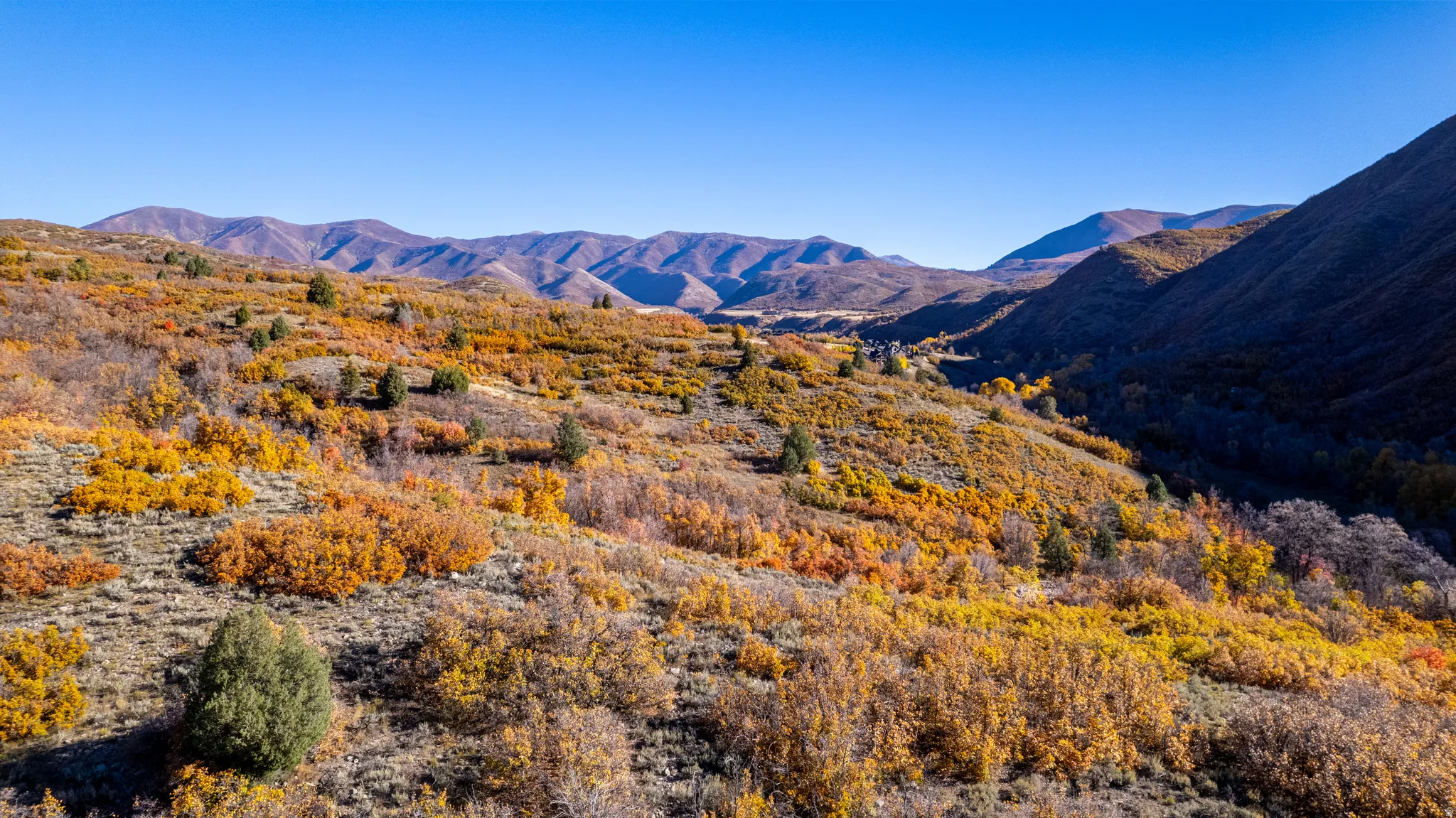 Expansive mountain scenery with diverse foliage and undulating terrain