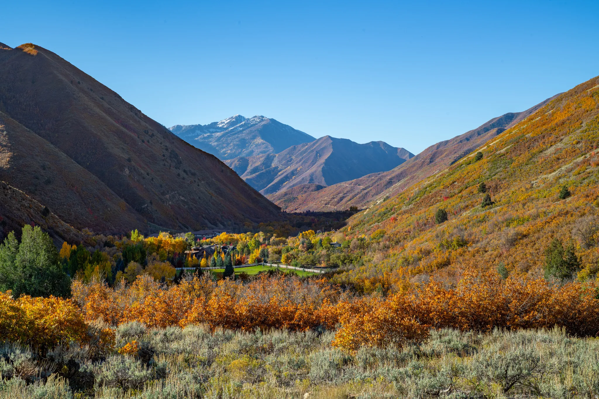 Mountainous terrain with natural vegetation and distant snow-capped peaks
