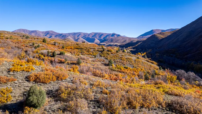 Expansive mountain scenery with diverse foliage and undulating terrain