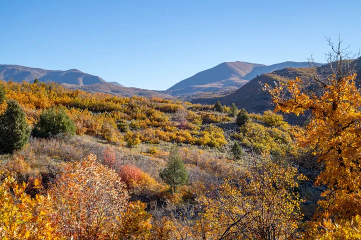 Expansive mountain scenery with a clear sky and diverse foliage