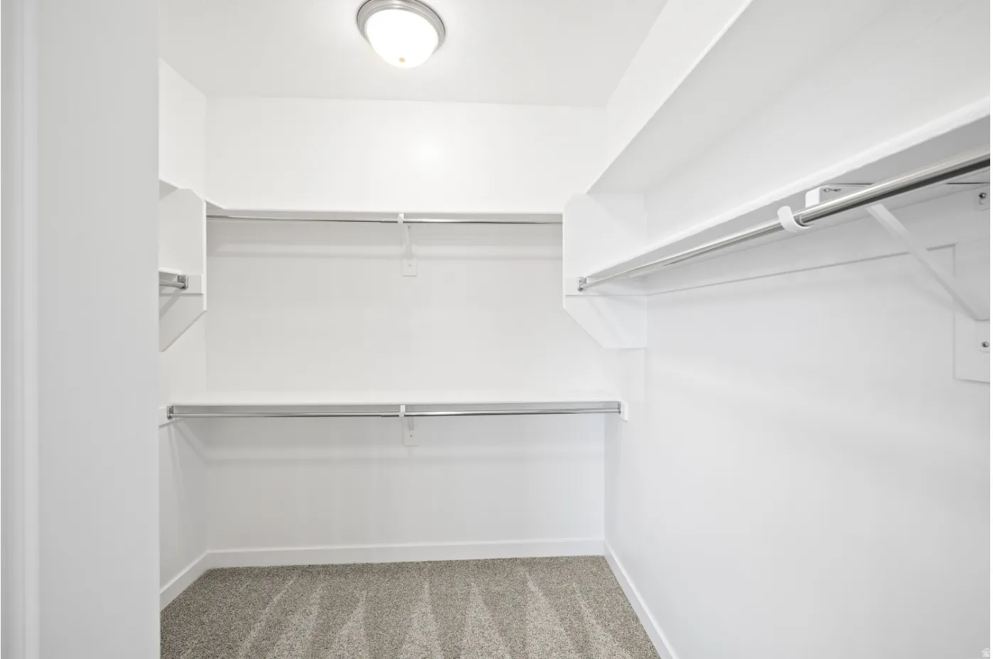 Walk-in closet with carpet flooring, white walls, built-in shelving, and hanging rods