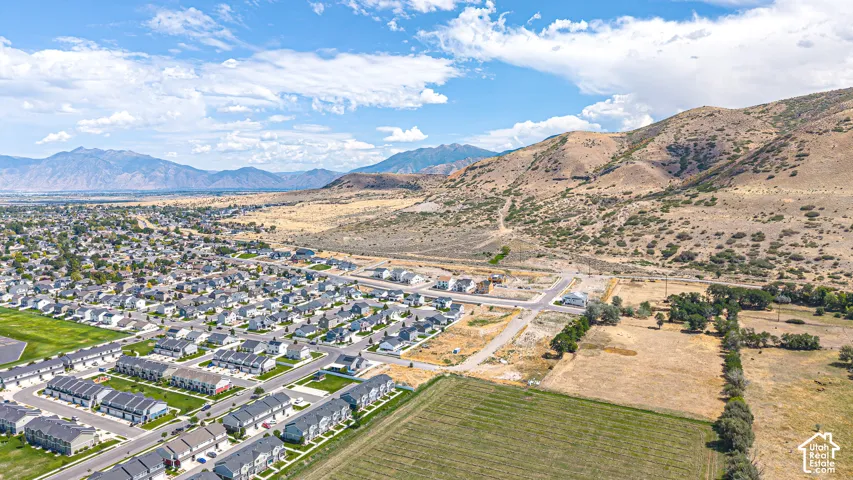 Aerial perspective showcasing developed residential areas and undeveloped land