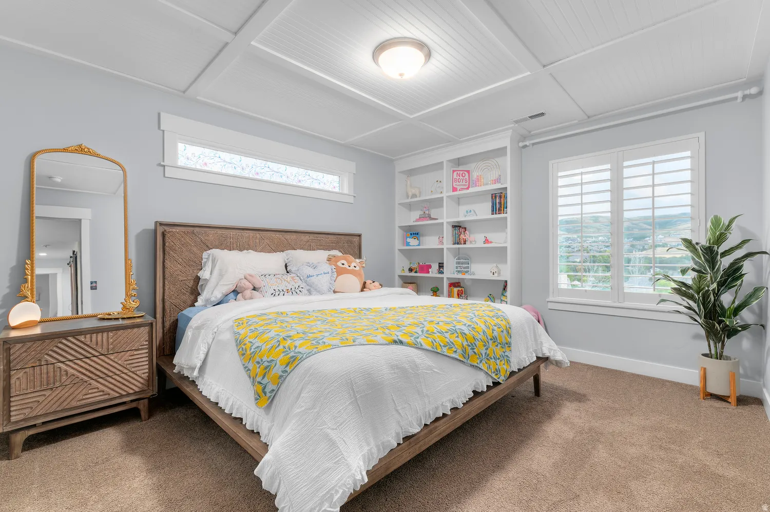 Built-in shelving, window shutters, tray ceiling, recessed window, and carpeted flooring