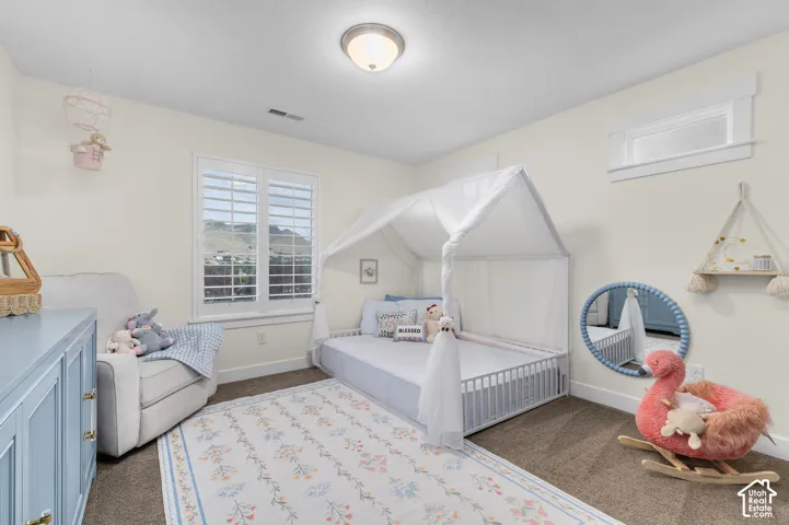 Carpeted interior space featuring a window with white shutters, a transom window, and a built-in ceiling light fixture