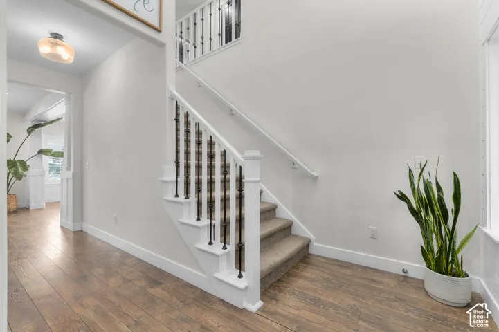 Wood-finish flooring throughout, a carpeted staircase with white risers, and black metal balusters