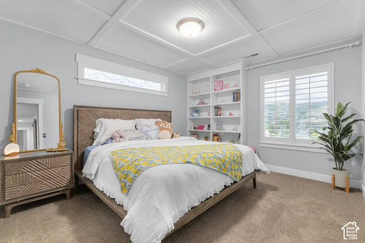 Built-in shelving, window shutters, tray ceiling, recessed window, and carpeted flooring