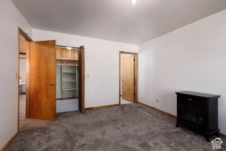 Wall-to-wall carpeting with wooden trim, built-in closet shelving, and a wooden door