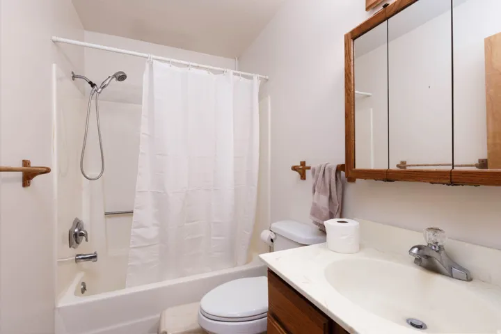 Bathtub with an integrated shower, wood-finish vanity with an integrated sink, and an overhead mirrored medicine cabinet