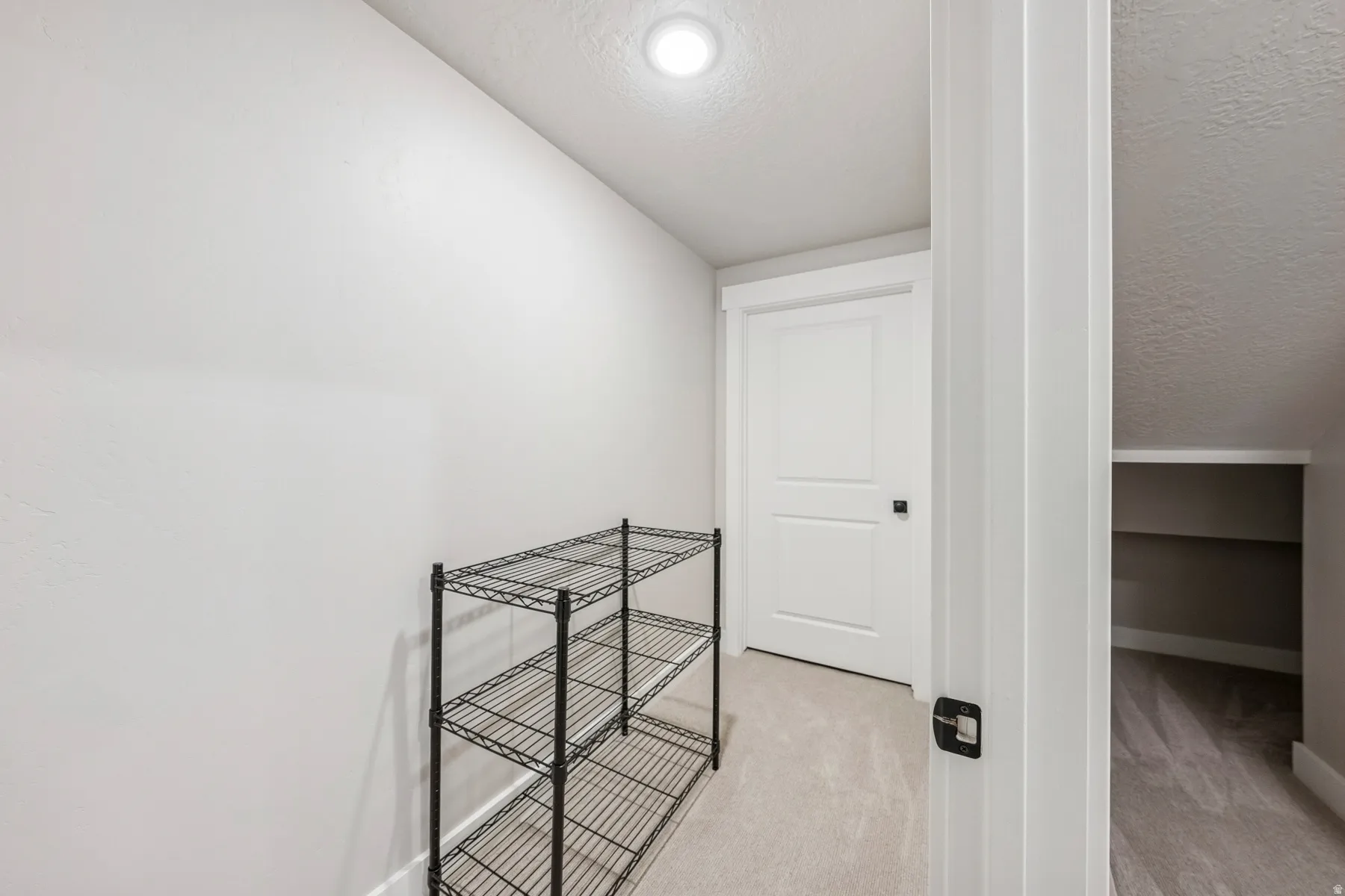 Recessed ceiling lighting, interior white paneled door, black door hardware, light-toned carpeting, built-in shelving