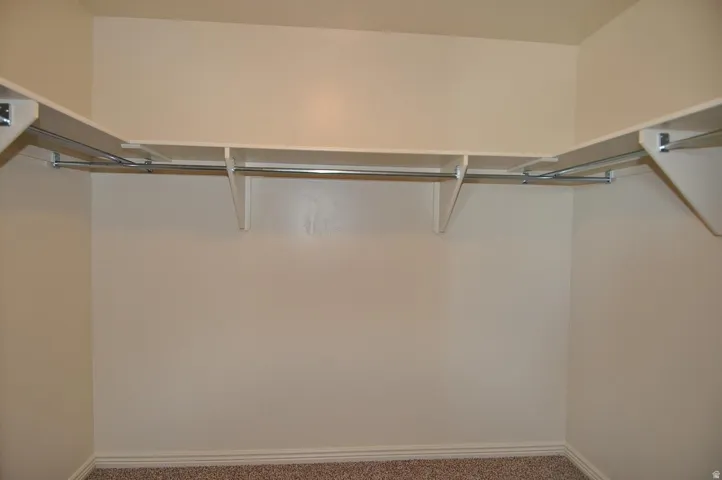 Walk-in closet featuring built-in shelving, chrome hanging rods, and neutral-toned carpeting