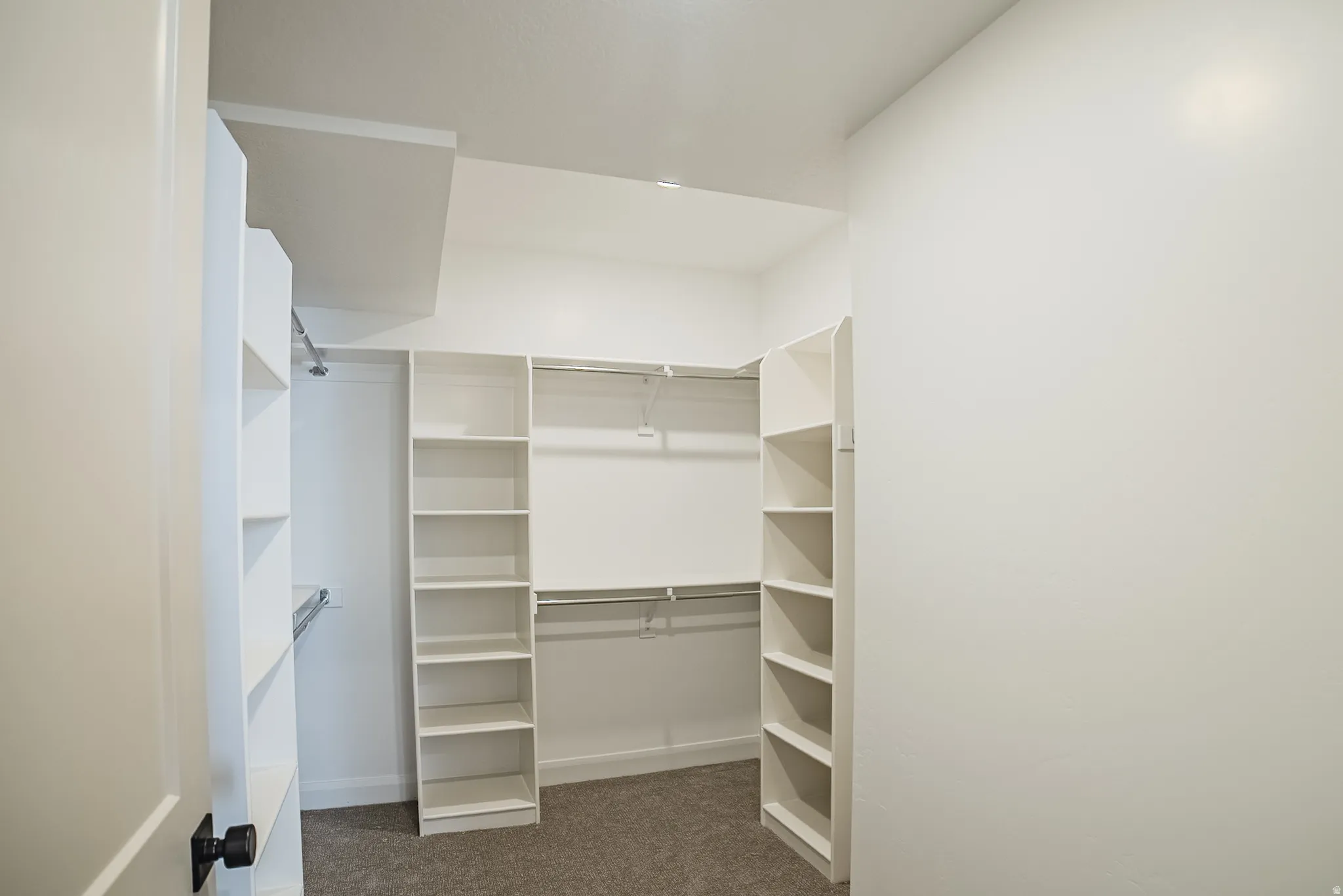 Walk-in closet with built-in shelving, hanging rods, and carpet flooring