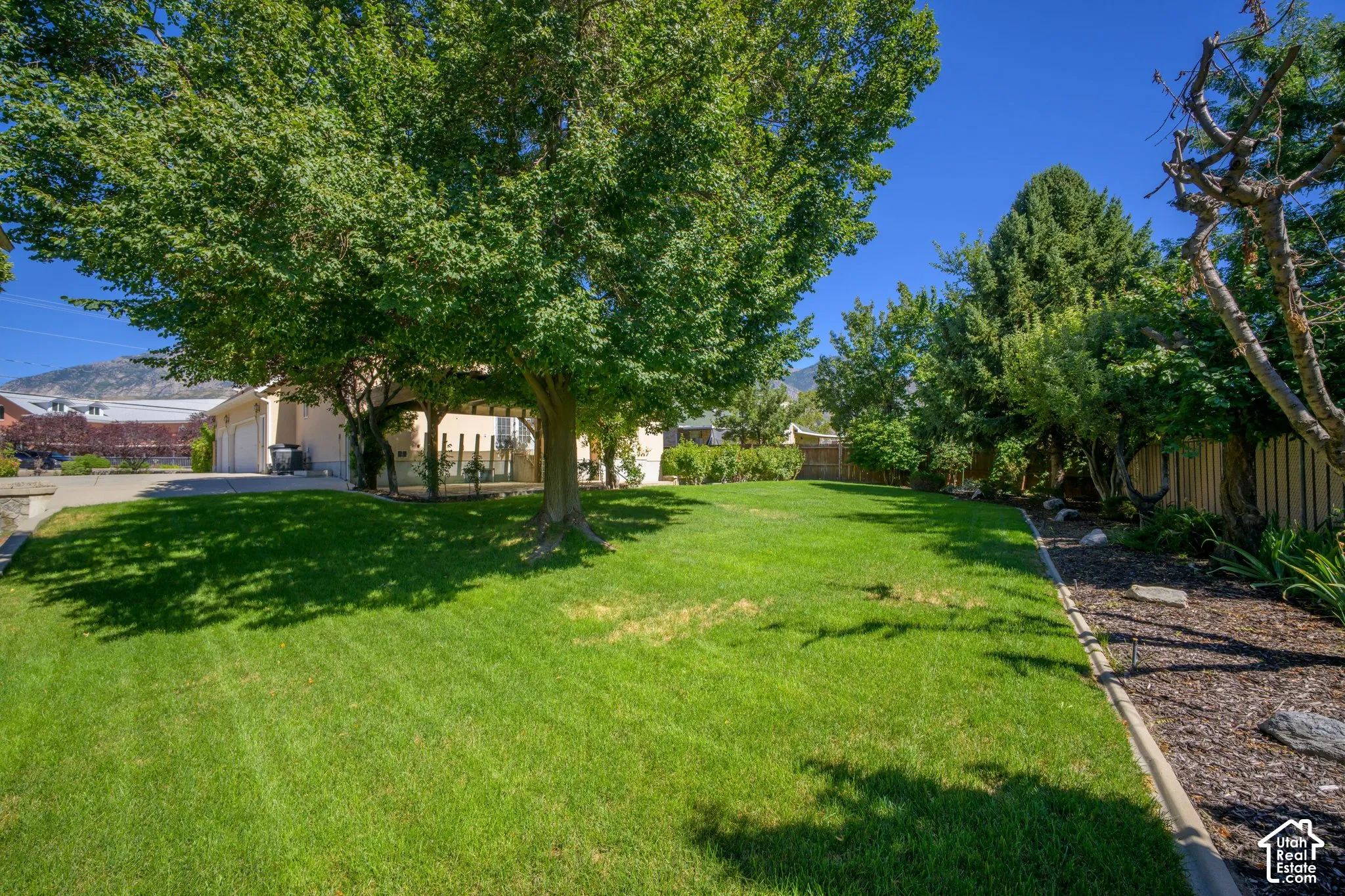 Backyard with mature trees