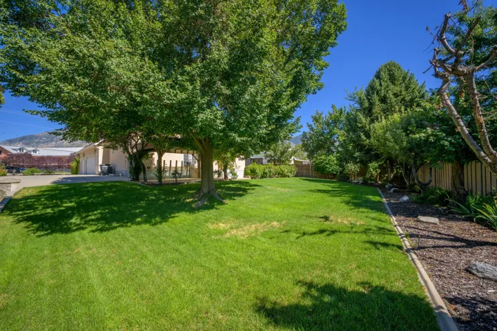 Backyard with mature trees