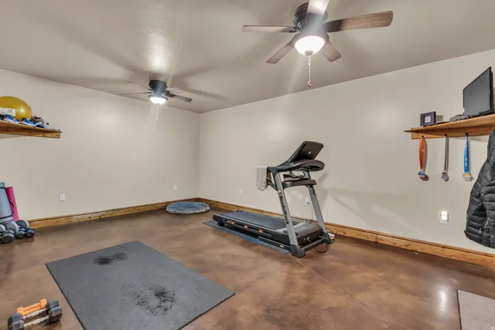 Downstairs bonus/exercise room