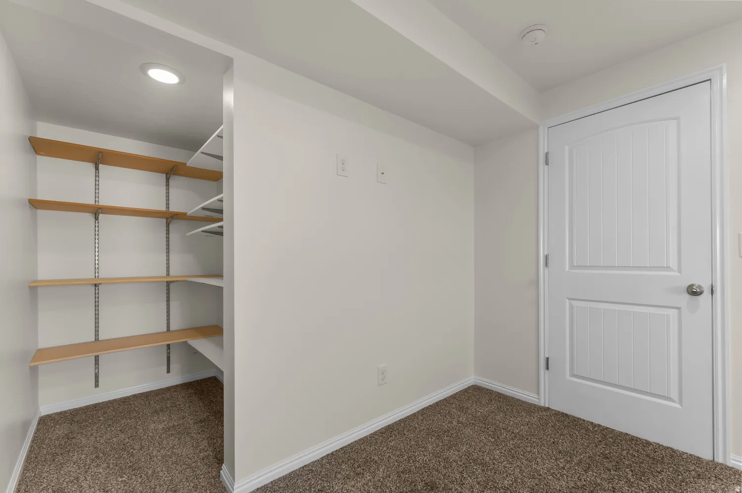 Recessed lighting illuminates adjustable shelving and plush carpeting