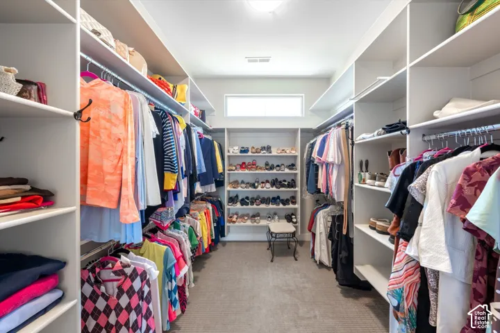 Expansive walk-in closet featuring extensive built-in shelving, multiple hanging rods, and carpeted flooring