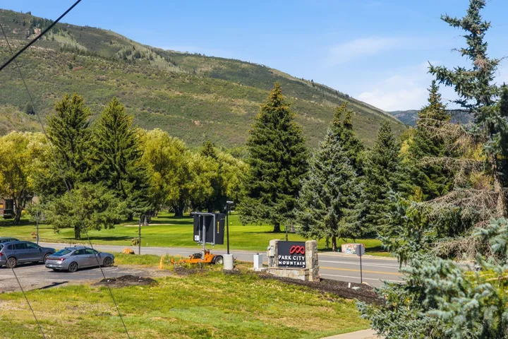 Mountain backdrop with dense tree coverage, a paved road, and verdant green spaces
