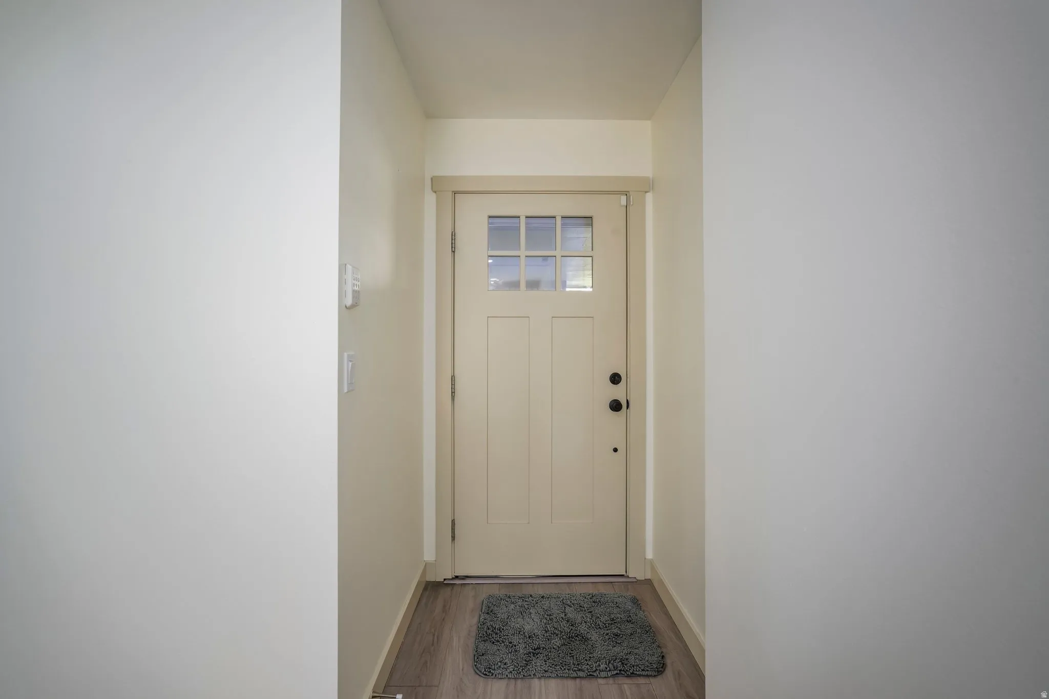 Entryway featuring a panel door with windowpanes, wood-finish flooring, and light-toned walls