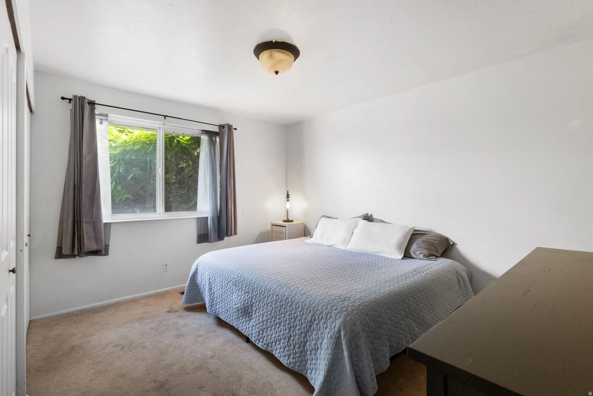 Neutral tone wall paint, carpet flooring, and a flush mount ceiling light