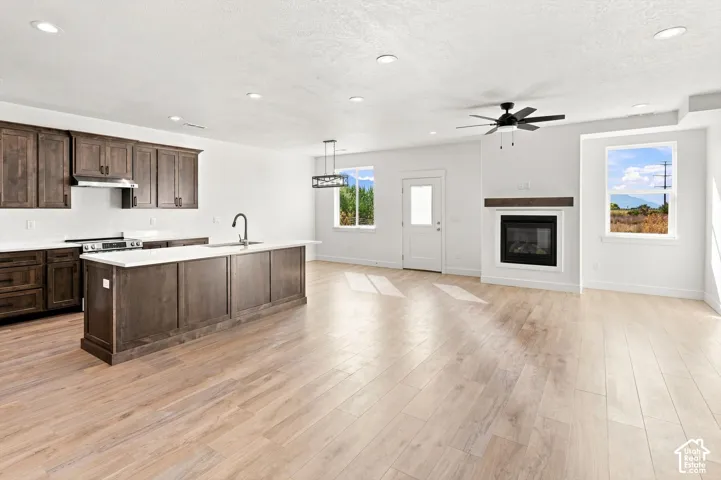 Kitchen island with integrated sink, dark wood-finish cabinetry, light wood-finish flooring, built-in fireplace, and recessed lighting