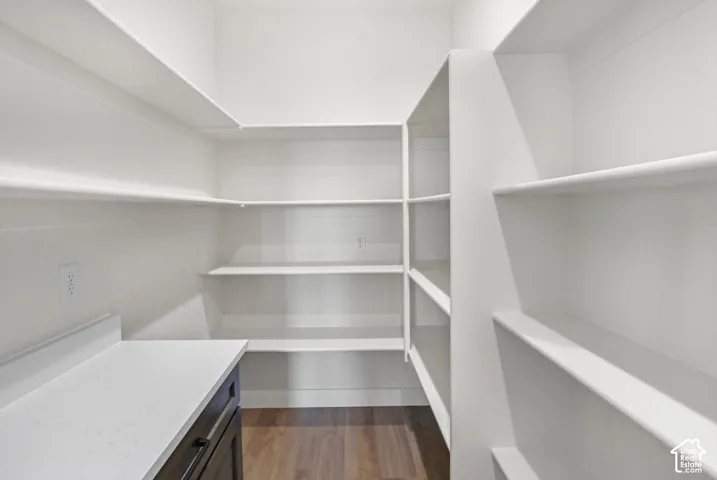 Walk-in pantry with extensive built-in shelving, white walls, wood-finish flooring, dark cabinetry, and white countertop