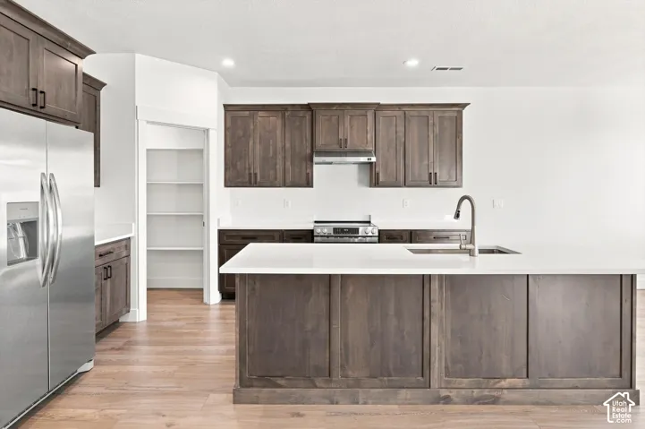 Kitchen featuring wood-finish cabinetry, a large kitchen island with integrated sink, stainless steel appliances, and a walk-in pantry with shelving