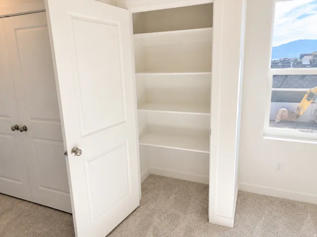 Built-in shelving, white paneled doors, and plush neutral carpeting
