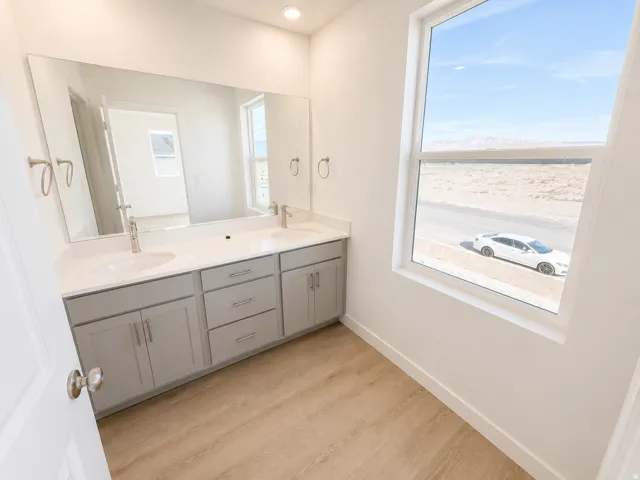 Dual vanity with undermount sinks and light gray cabinetry